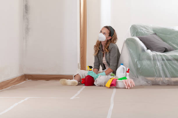Reliable Bathroom Mold Removal contractor in Glenwood, MD by WQB Mold Removal